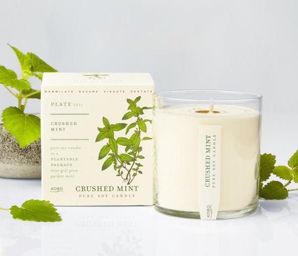 Seeds - Crushed Mint Candle