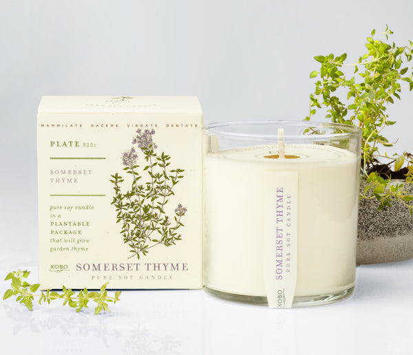 Seeds - Somerset Thyme Candle